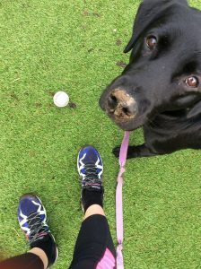 it's good to exercise outdoors